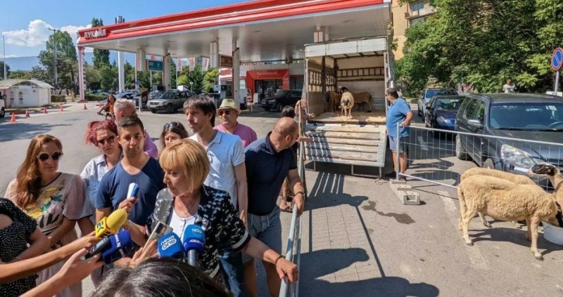 Кадър: Фейсбук, Мая Манолова Кадър: Фейсбук, Мая Манолова