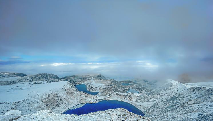 Снимка: iStock Снимка: iStock