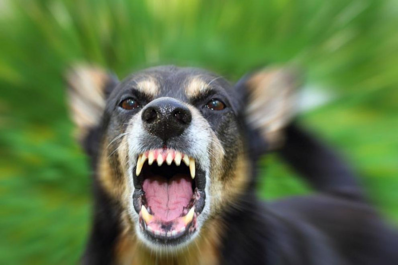 / iStock/Getty Images