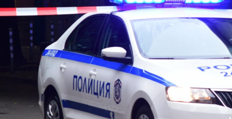 Булфото