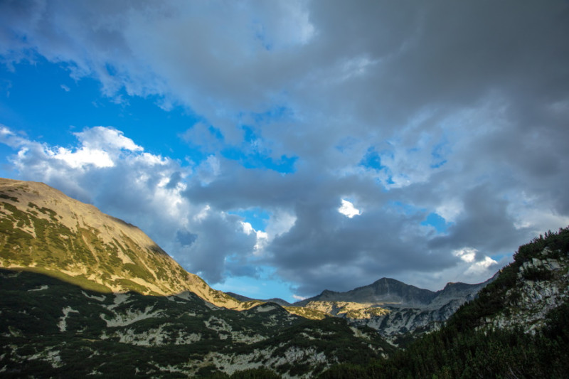 Източник: iStock Photos/Getty Images